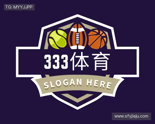 介绍333体育